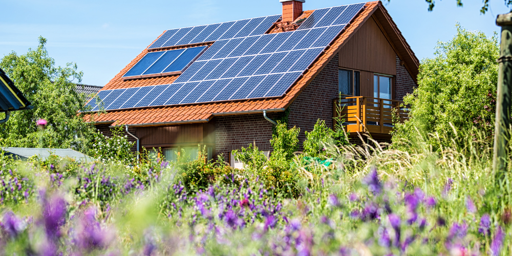 Maximise your Solar Investment with the Right Energy Tariff
